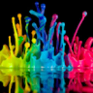 Meet your Posher, Ava